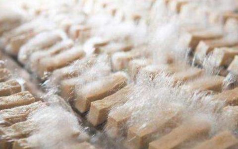 早孕能吃毛豆腐吗(毛豆腐孕妇可以吃吗)