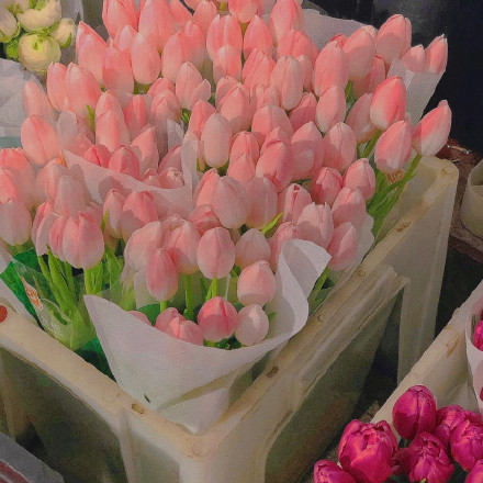 520文案合集｜“单身篇+表白篇+情侣篇+官宣篇”