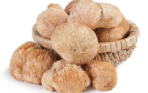 猴头菇的营养成分有哪些？