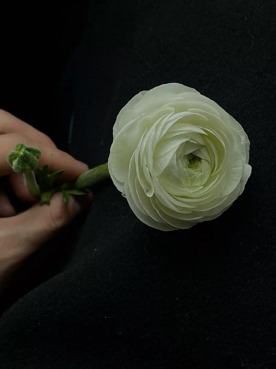 生活就是这样，不然你就会不胜其烦（文案馆）