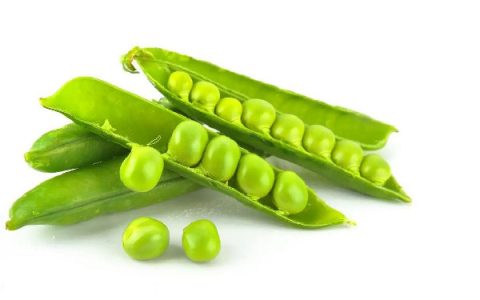 青豆一般焖多久能熟(青豆要煮多久才熟)