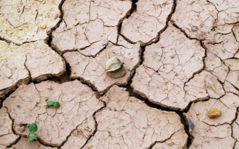 世界关灯日#Earth Hour地球一小时什么时候？