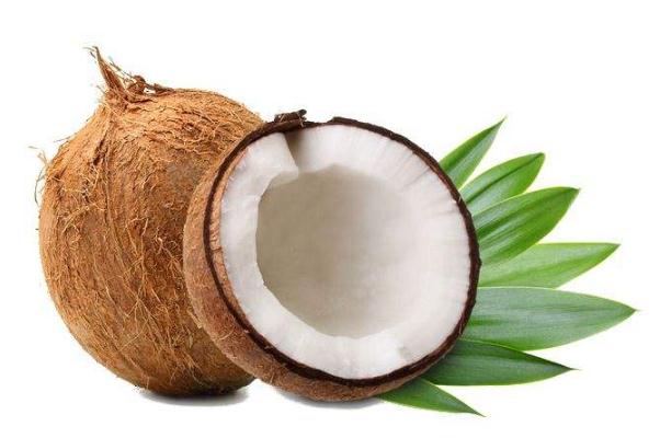 椰子孕妇能吃吗 椰子孕妇吃了有什么好处