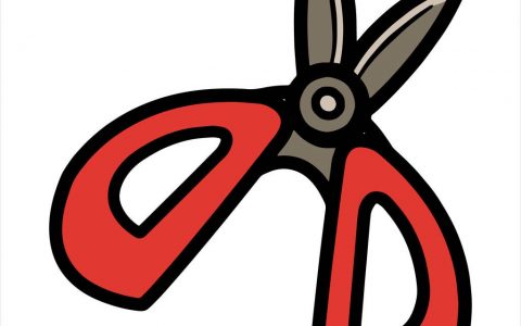 怎么剃除阴毛？男生除阴毛的重要性