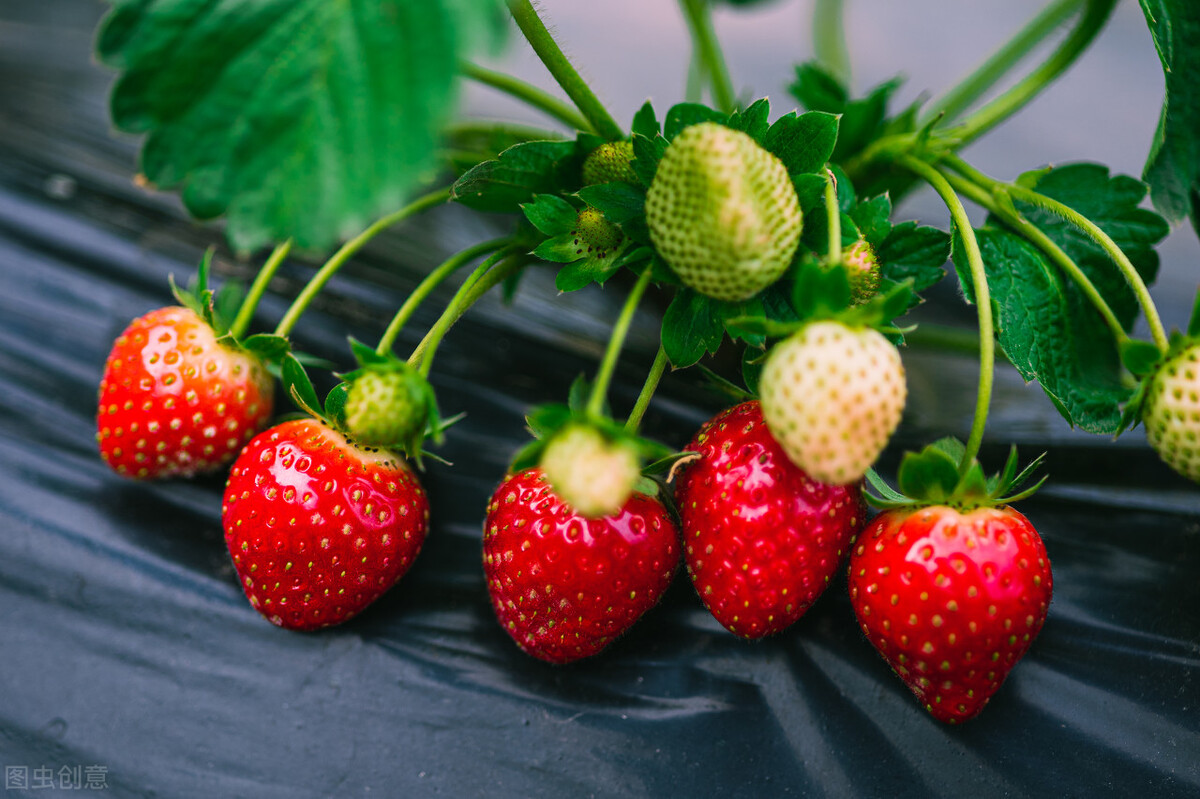 朋友圈搞笑创意文案