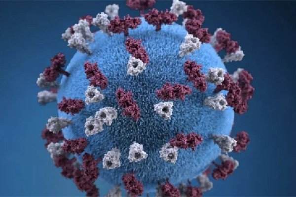 杭州一顺丰中转场已有11人确诊 快递会携带新冠状病毒吗