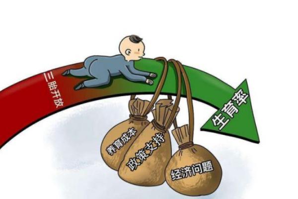 代表建议东北率先全面放开生育 开放生育是什么意思