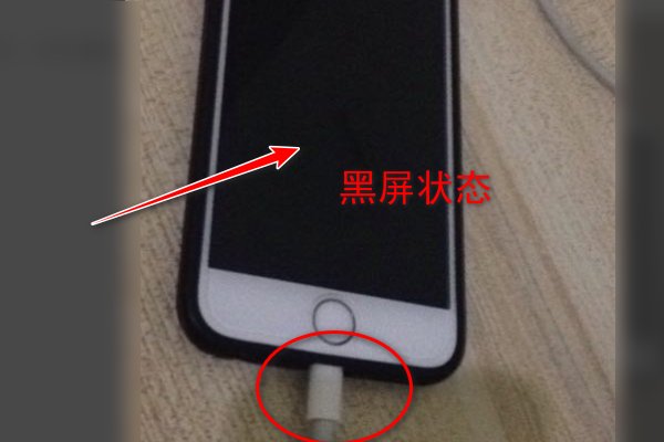 安卓手机黑屏了怎么导出照片