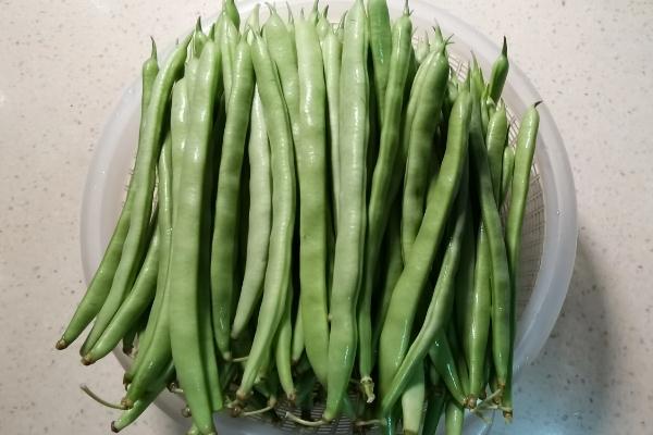 四季豆焯水要焯几分钟 四季豆焯水用冷水还是热水 四季豆焯水要焯几分钟 四季豆焯水用冷水还是热水