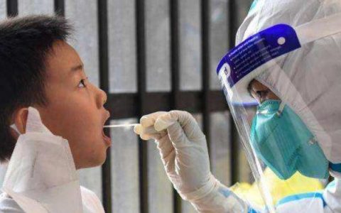 核酸检测扫描身份证用的什么app(身份证核酸检测什么时候才有结果)