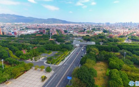 关于种树的文案，植树节的策划案