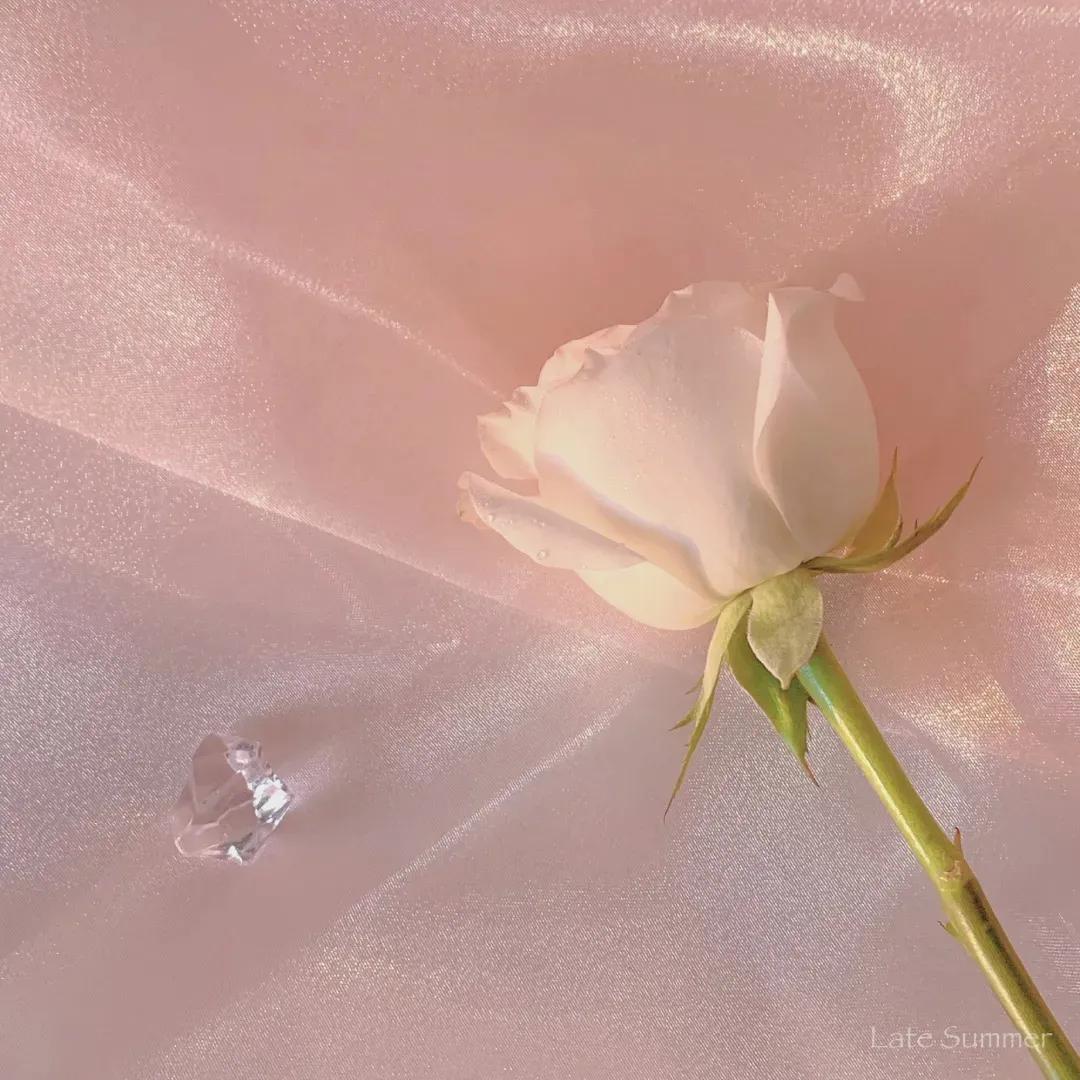 疯狂心动！100句适合情人节发的文案，文艺高级浪漫脱俗