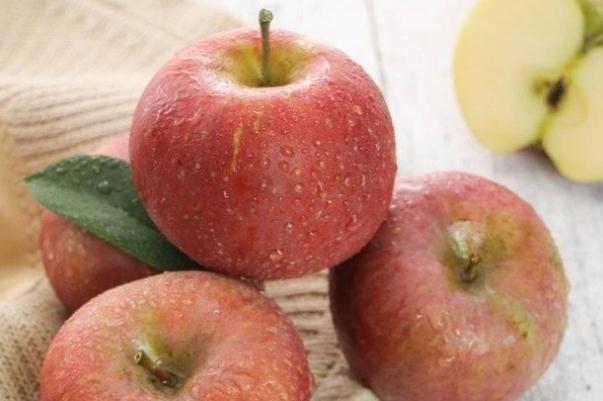 丑苹果为什么叫丑苹果 丑苹果什么季节成熟