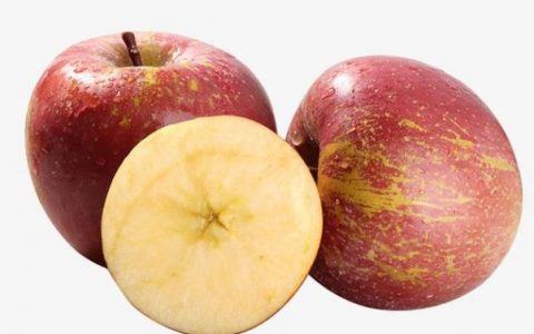 丑苹果的营养价值有多少(丑苹果为什么叫丑苹果)