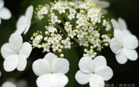 安卓手机如何将照片导入电脑，安卓系统如何把手机相片传到电脑上