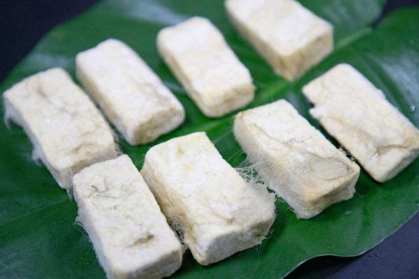 毛豆腐要不要洗 毛豆腐要几天才能发酵好 毛豆腐要不要洗 毛豆腐要几天才能发酵好