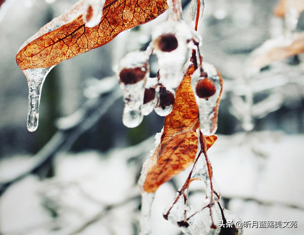 立冬,心有温暖,岁月静好
