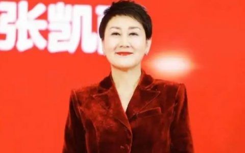 新冠肺炎张凯丽捐款多少(张凯丽这次疫情捐款多少)