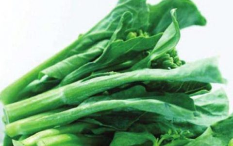 菜苔怎样保存时间长(冷冻保存水煮菜苔的方法)