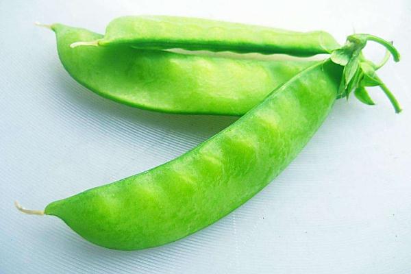 荷兰豆要去筋吗 荷兰豆要不要焯水再炒 荷兰豆要去筋吗 荷兰豆要不要焯水再炒