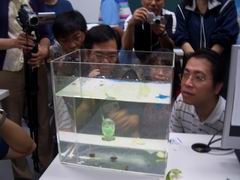 发泡锭自制潜水艇#科学小玩意