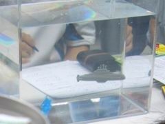 发泡锭自制潜水艇#科学小玩意
