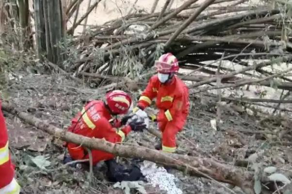 客机坠毁前村民听到30秒轰鸣声 飞机坠毁是什么意思