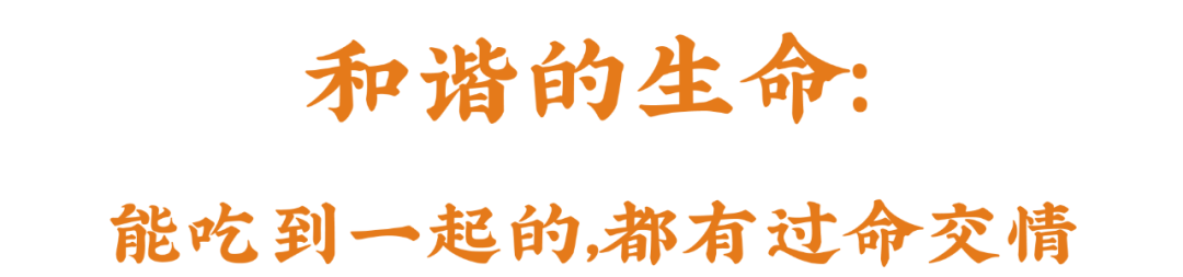 吃懂了烧烤，便懂了人生的五味杂陈