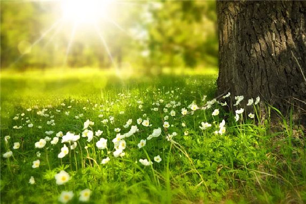 全国大回暖开启 回暖天气地面出现水的原因