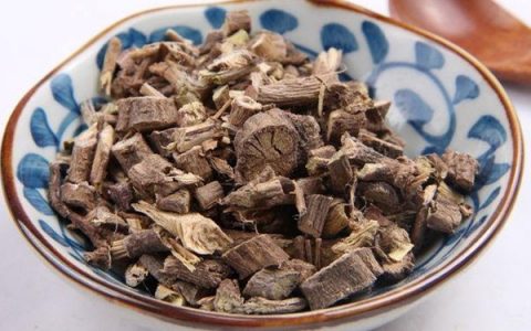 鸡屎藤是什么样的中药(鸡屎藤是中草药吗)