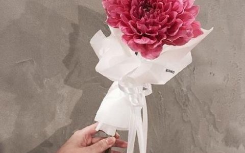 关于爱情的文案长文，关于爱情的经典文案