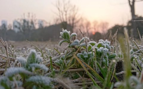 2022年的倒春寒严重吗(倒春寒会持续多少天)
