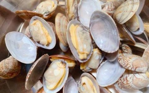 孕妇可以吃花甲吗有什么营养(花甲孕妇可以吃吗)