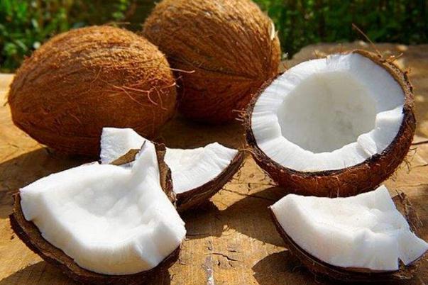 椰子孕妇能吃吗 椰子孕妇吃了有什么好处