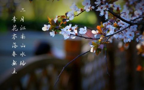 二月什么情况下有29天(二月有没有29天的时候)