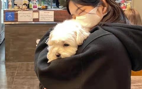 旅游文案唯美，关于旅游的文案