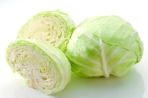 卷心菜的功效与作用 卷心菜和包菜的区别