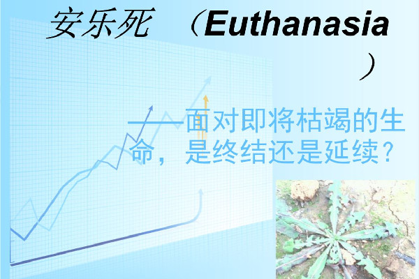 人大代表建议安乐死合法化 安乐死真的是一点痛苦都没有吗