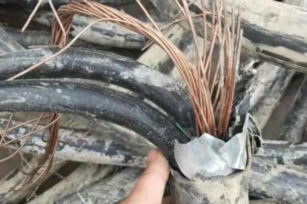 偷电缆碰到电信局局长 电缆是什么东西