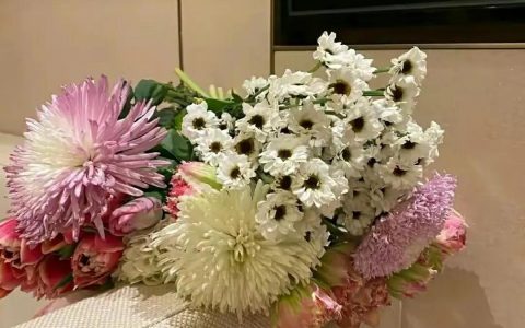 优秀广告文案作品，简短的广告文案