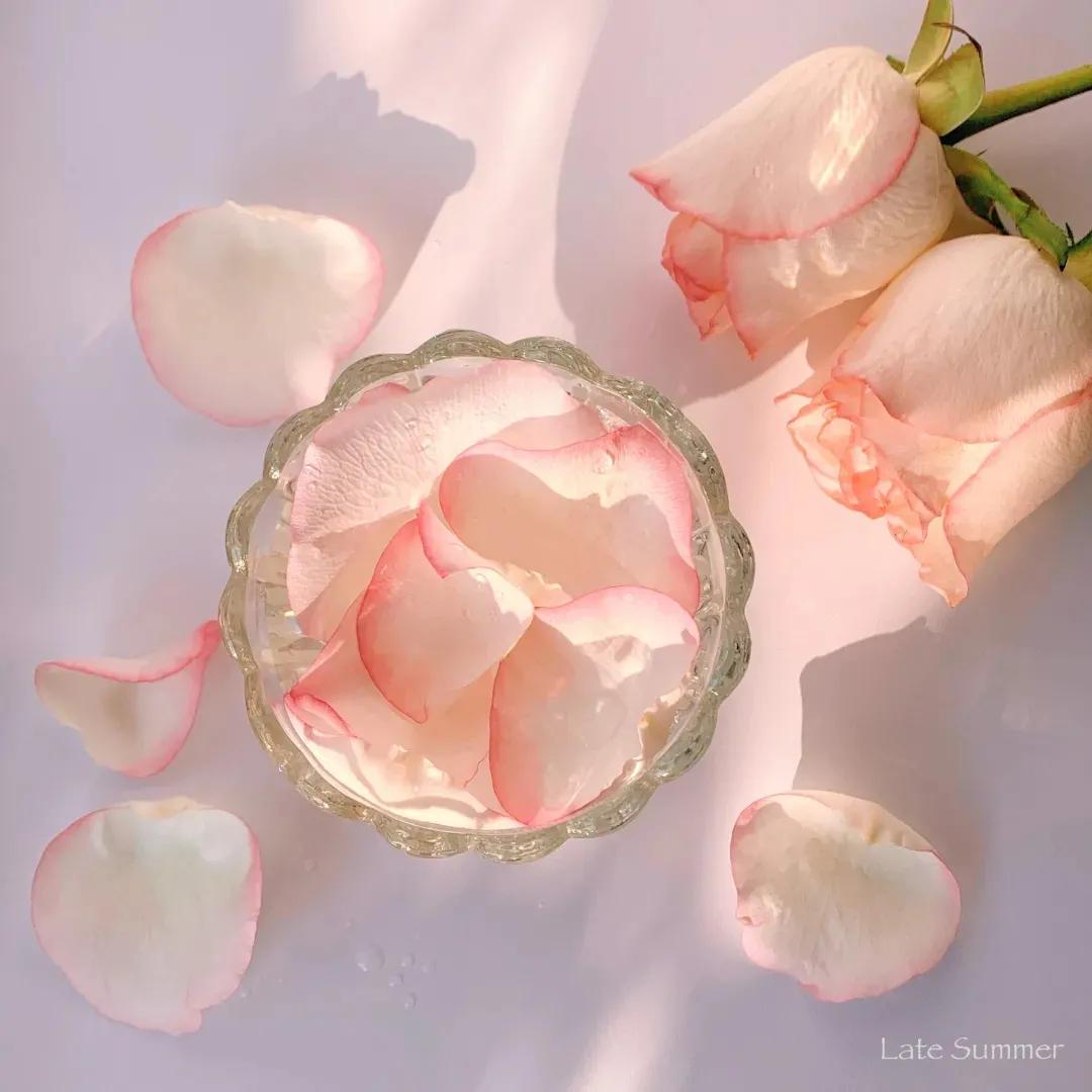 疯狂心动！100句适合情人节发的文案，文艺高级浪漫脱俗