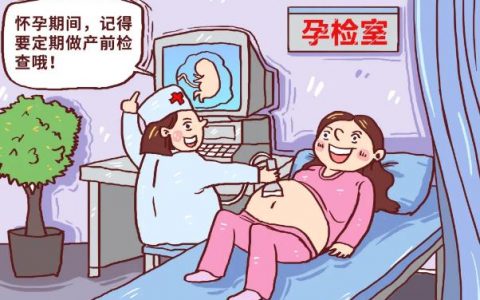 医院可以告诉胎儿性别(医院可以鉴别胎儿性别)