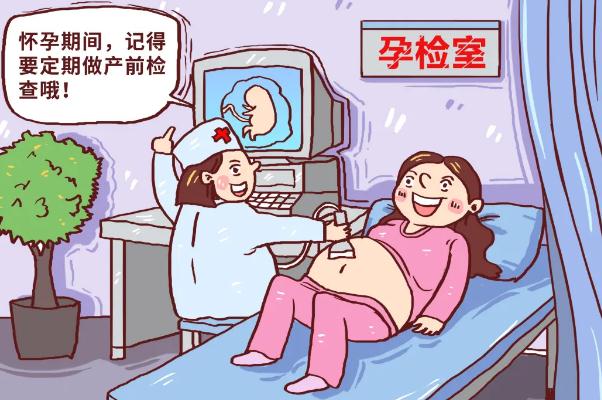 医院称可定制胎儿性别卫健委回应 医院可以查胎儿性别吗