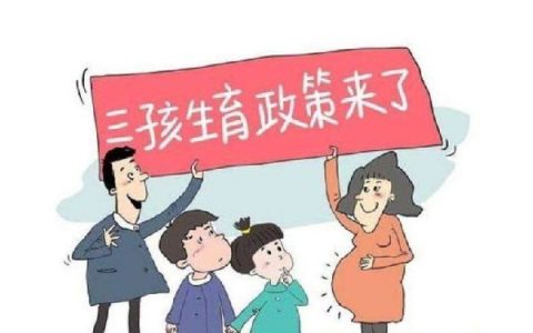 三胎政策有补助吗(三胎政府有补助)
