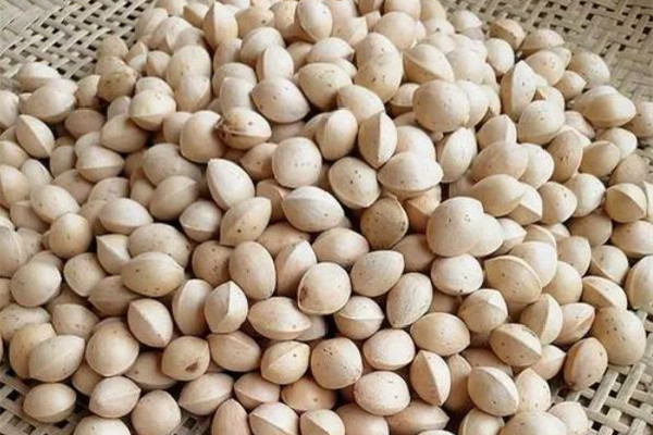 白果发苦能吃吗 白果苦味怎么去掉