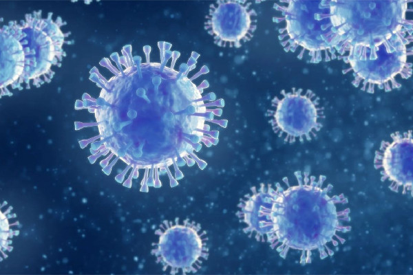 31省份新增本土“1540+22561” 新冠肺炎是不是持续发烧