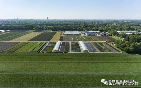 养鹿挣钱吗？种植养殖别任性，一不小心就违法！