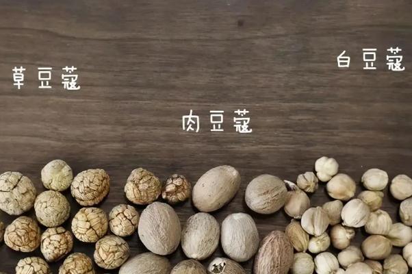 白蔻的作用与功效 白蔻作为香料起什么作用