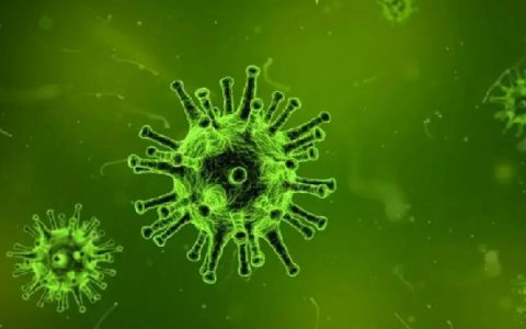 1省份昨日新增本地1318 25037。在新冠肺炎喝中药有用吗？