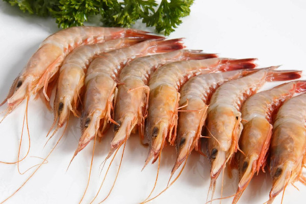 海虾多少钱一斤 海虾的营养价值及功效